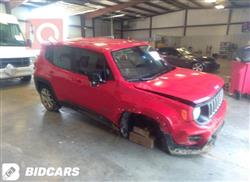 جيب رينيجيد